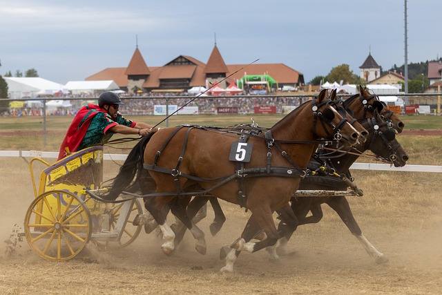 料制造商合 料制造商合