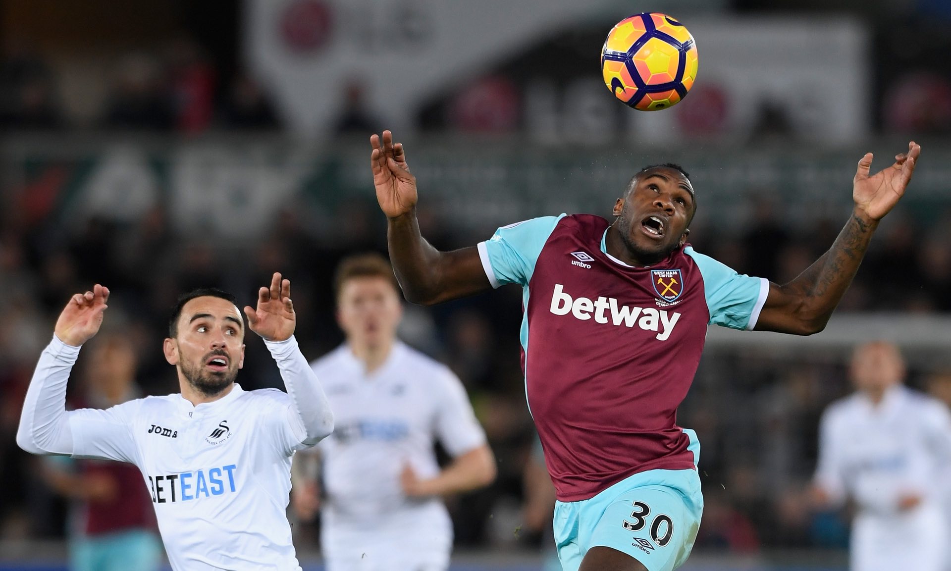 了胜利的大 了胜利的大