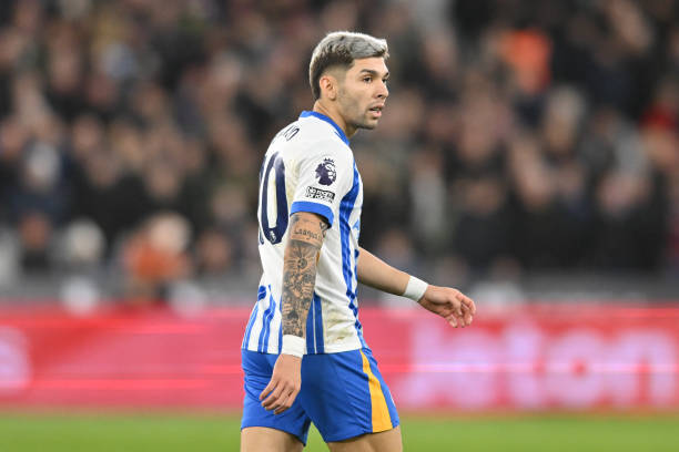 个国家的象 个国家的象